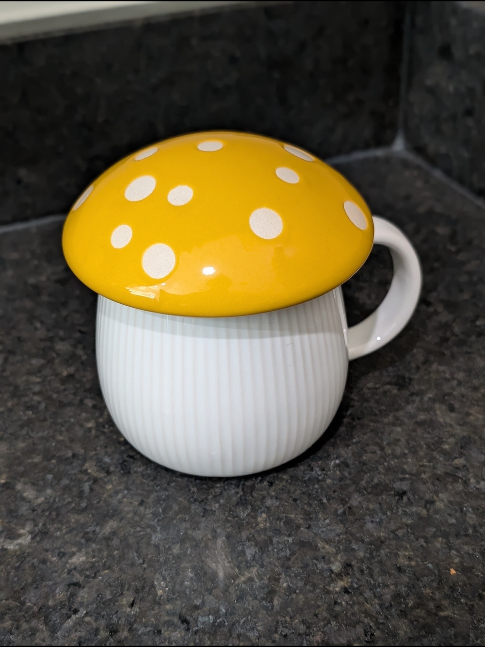 Cost Plus World Market White Ribbed Ceramic Mug